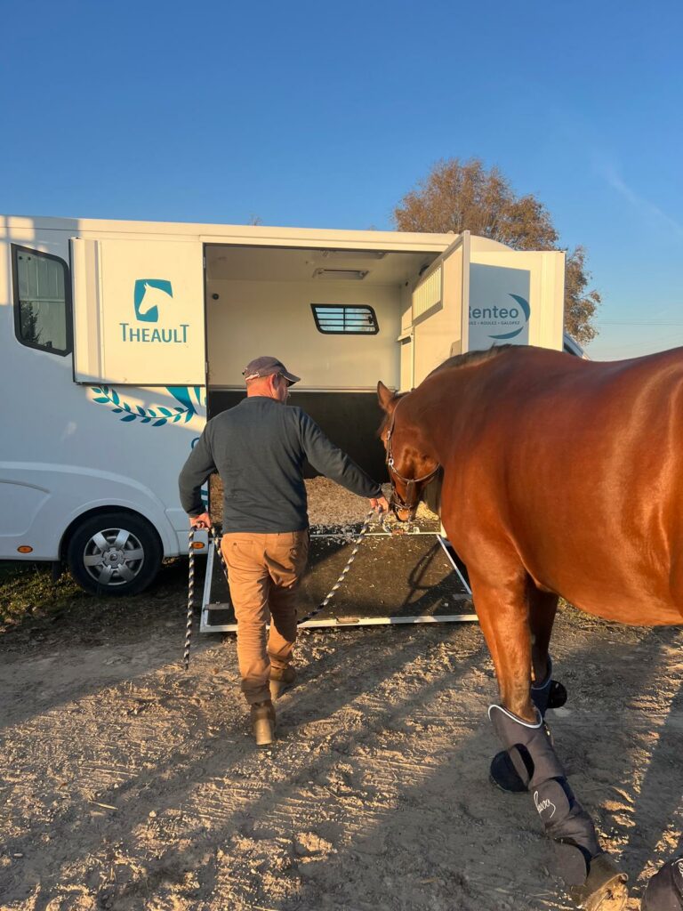 embarquement cheval GP select transport